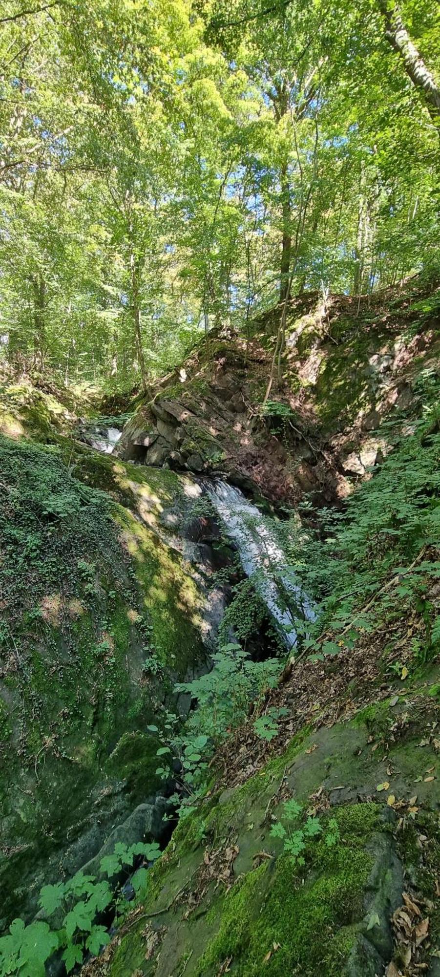 Zum Hirschen