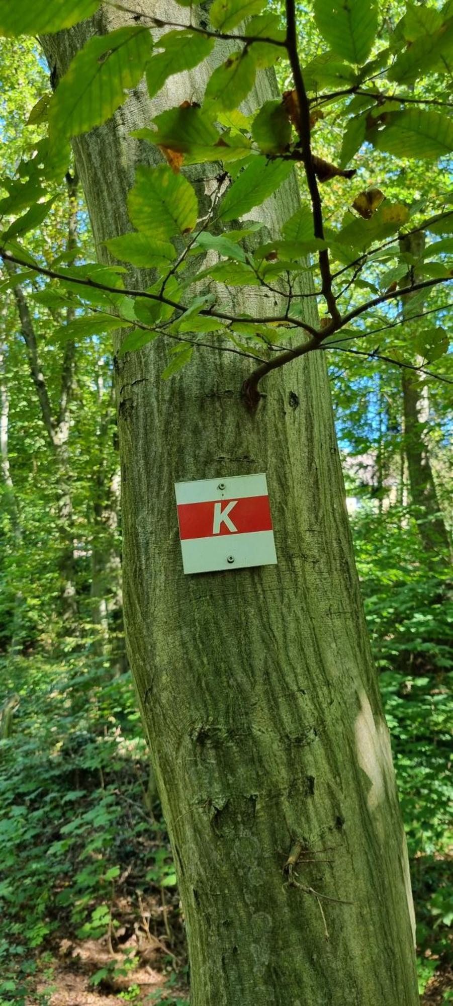 Zum Hirschen * Herzberg am Harz